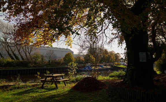 Due Diligence Focus Image